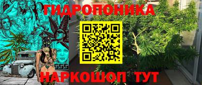 дживик Лесосибирск