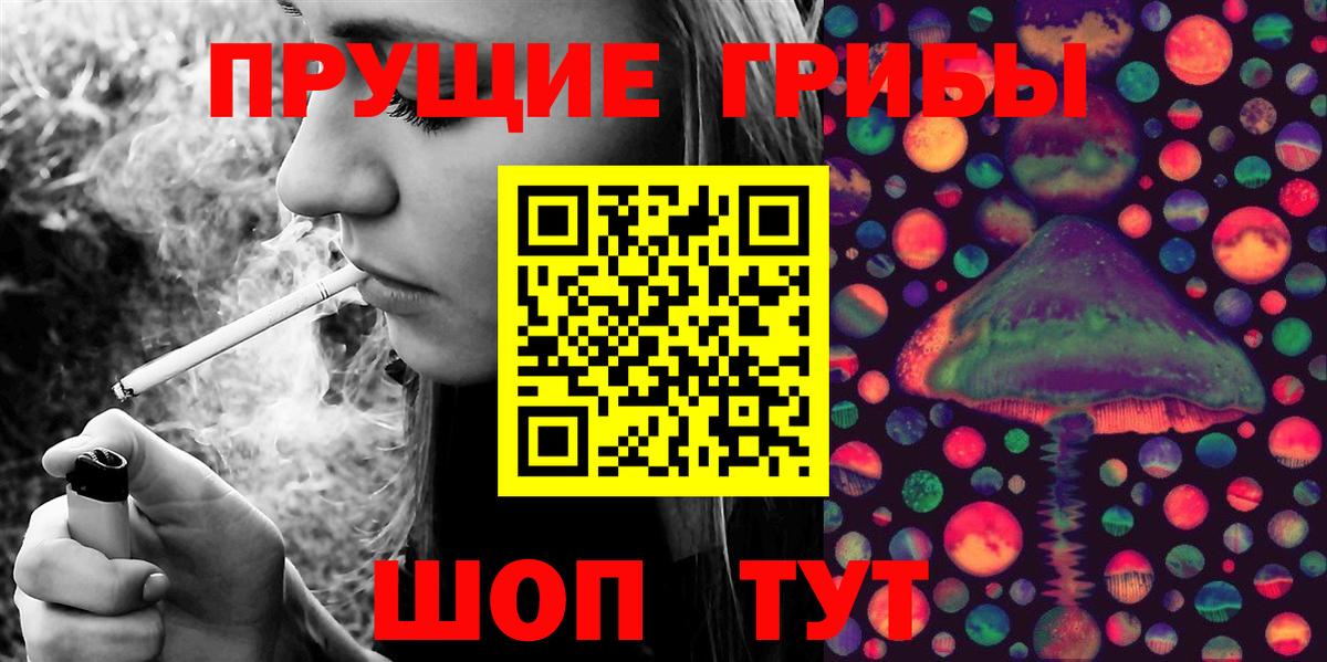 Урус-Мартан  Галлюциногенные грибы Cubensis  Псилоцибиновые грибы Psilocybine cubensis  Вход с VPN 