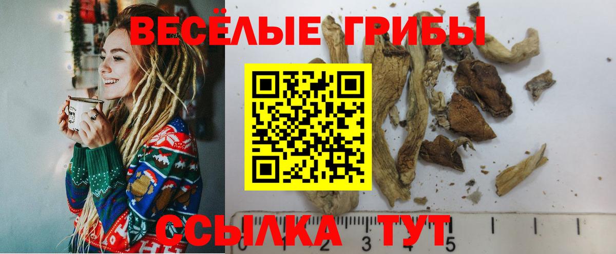 Псилоцибиновые грибы мицелий Урус-Мартан